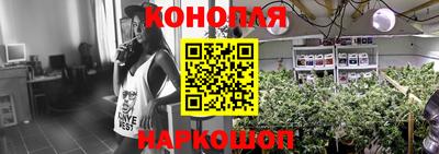PSILOCYBIN Бугуруслан