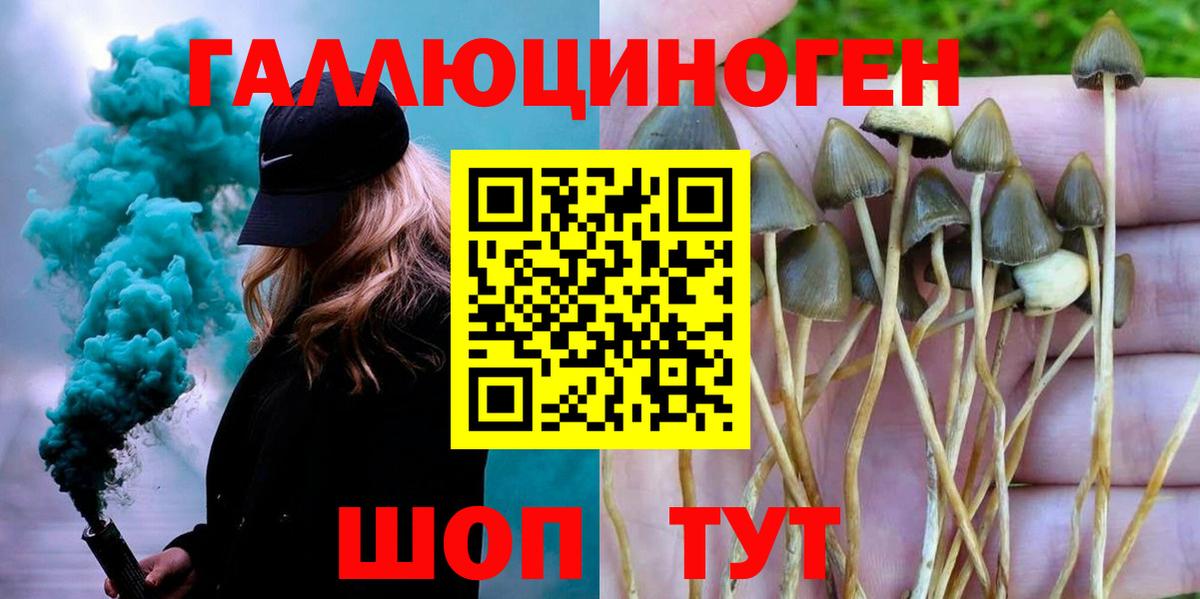Можайск  Галлюциногенные грибы Psilocybe  Вход с VPN 